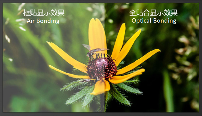 Optical Bonding vs. Air Bonding: Which is the Best Choice for Your Display