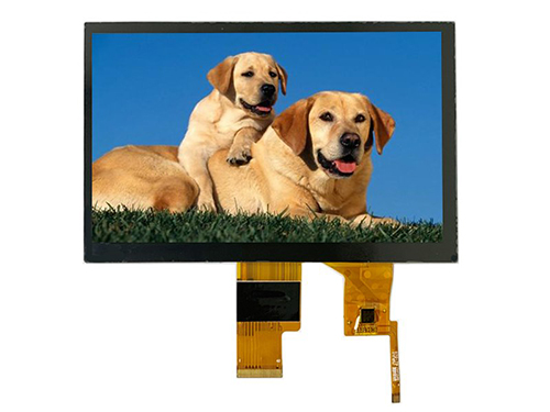 Custom LCD display