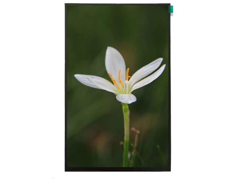 8.0inch Portrait TFT LCD display with MIPI interface